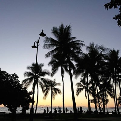 keisuke85570781's profile picture. 証券マン