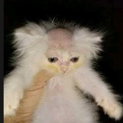 Isa_27122's profile picture. 🙂