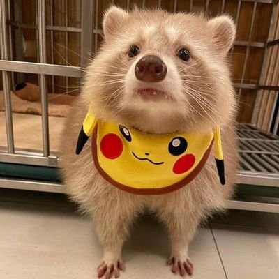 blablablaさんのプロフィール画像