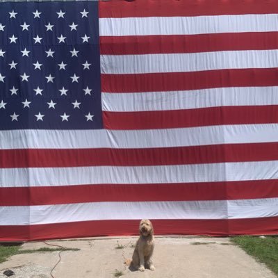 kylebbrink's profile picture. 