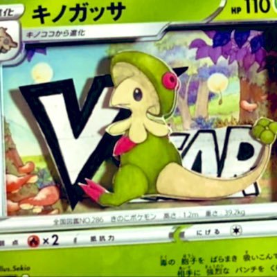 hmhmpika's profile picture. 米とポケカと餃子が好き