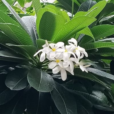 gvndr001's profile picture. believe yourself