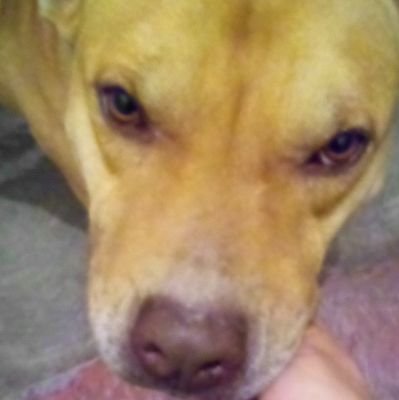 MariaCr19845281's profile picture. 