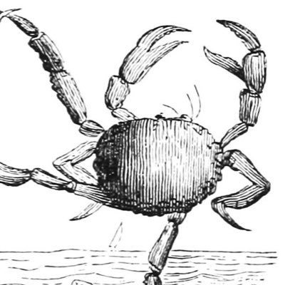 蔭沢菫🦀フリーライターさんのプロフィール画像
