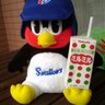 pochikurou's profile picture. Go! Go! スワローズ！