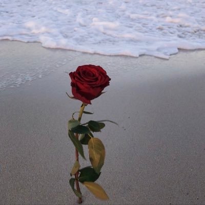 Zynxlol's profile picture. only get on here to make mf mad every4 months 🤣🤣 1/1 acc