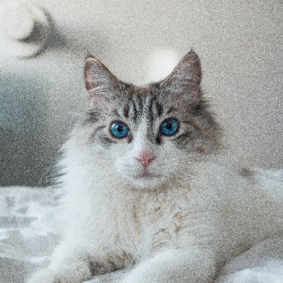 Daisy_281's profile picture. always step forward✌️