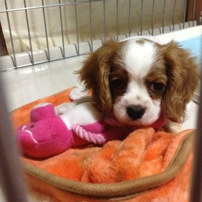 masha_eiko's profile picture. ましゃファンボチボチやってます(笑)
でも今はゆずにハマり中、悠仁可愛すぎる😍
ドリカム🎵コブクロ🎵ミスチル🎵
1度しかない人生、今が楽しければいいかなぁ~てっ思って過ごしています😁
めっちゃ毒吐きますがよろしくです♬