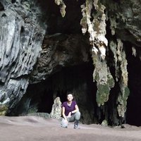 Prado, JS (@prado_frog) 's Twitter Profile