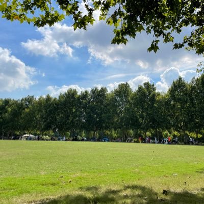 wugang_david's profile picture. 