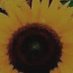 Steven Johnson (@stevenj84267324) Twitter profile photo Steven Johnson (@stevenj84267324) Twitter profile photo