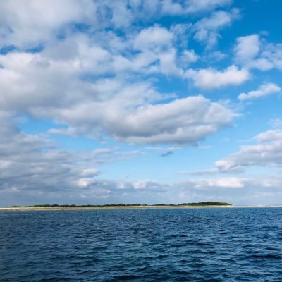 right_white_'s profile picture. 