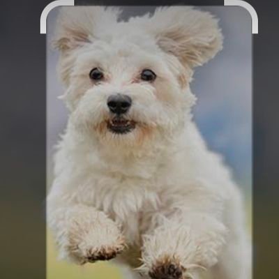 jpEyaDzY1CdGpxS's profile picture. 会える方いたらよろしくおねがいします