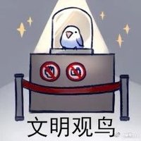 木感觉 (@wxhllhlm) 's Twitter Profile