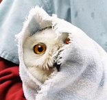 t77777t's profile picture. ゲーム作ってます！ディレクターやってます日本語でいうと浪漫のある雑用です！　酒と音楽、あと紙とペンとサイコロがあれば生きていけるっ、そんな人間。