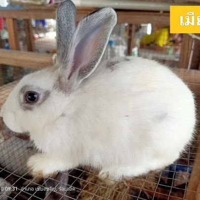 khwxwb5's profile picture. ทอมนะ