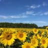 arshad_esq's profile picture. Head of Japan Legal at US Healthcare firm ex-@twitter @ASIJ→@Cornell→@Loyolalawschool Tokyo→Ithaca, NY→Los Angeles→New York City→Tokyo