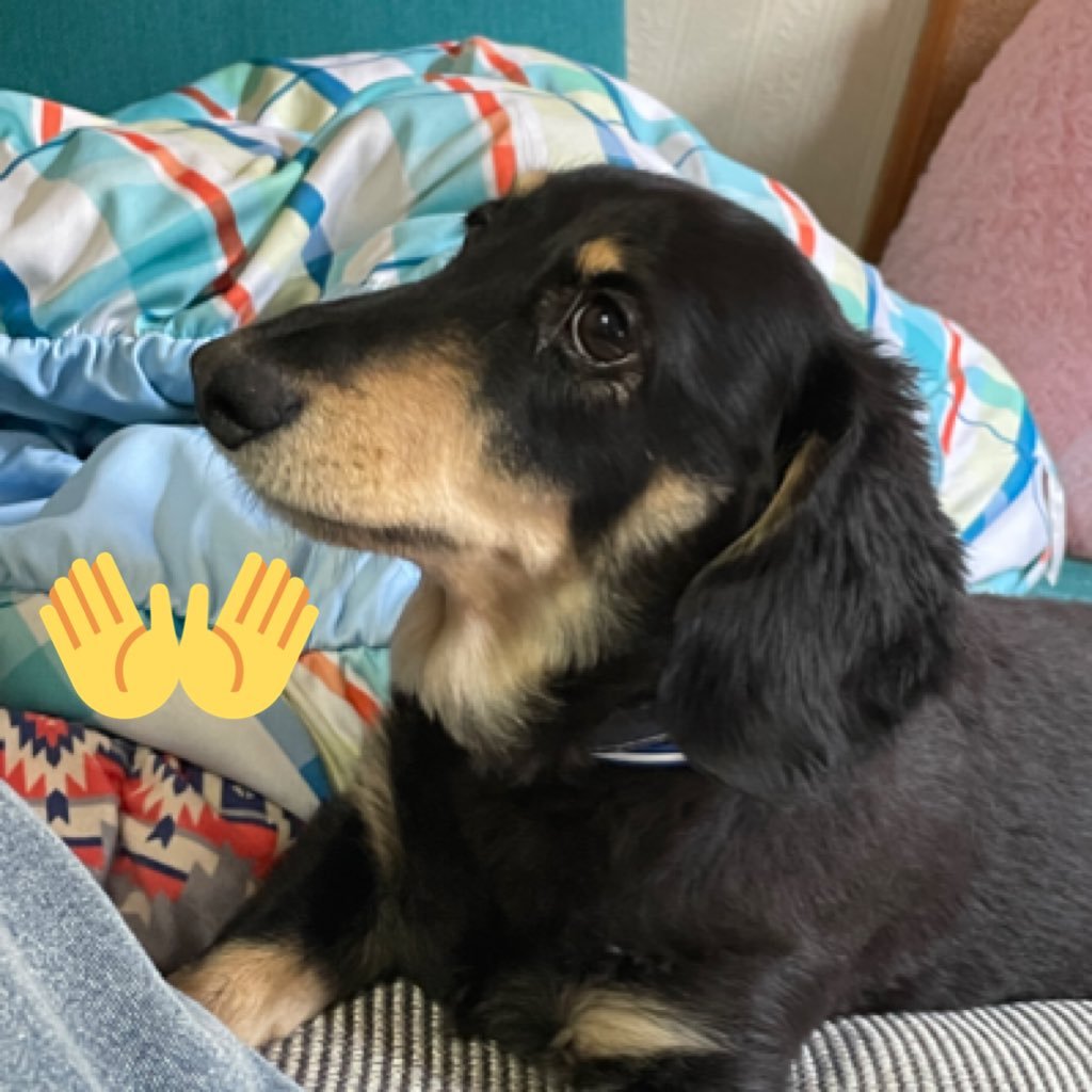 APEX25253535's profile picture. @kame2690の本垢是非フォローお願いします🤲こっちはおもにプロセカ、トレクルの事をツイートします。