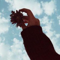 aline alqarzai (@alinealqarzai2) Twitter profile photo