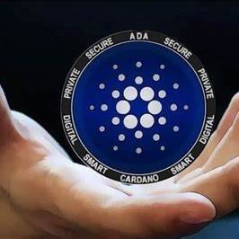 cardano4a's profile picture. 