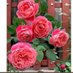 Mir Ashraf (@MirAshr96998601) Twitter profile photo Mir Ashraf (@MirAshr96998601) Twitter profile photo
