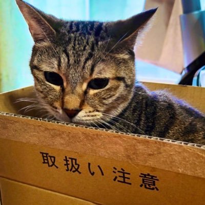 Coma280296254's profile picture. 多摩美 二年生です