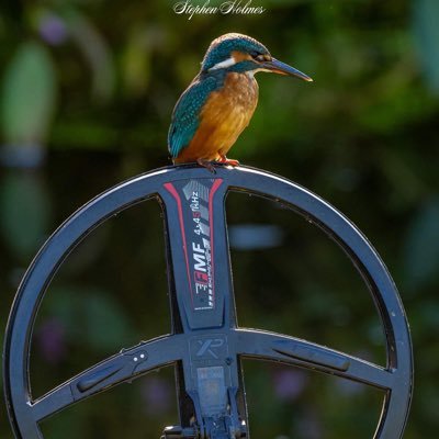 Stephenholm7571's profile picture. 
