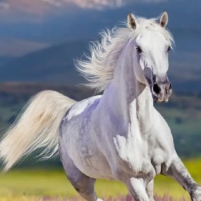 Mannu16330396's profile picture. Listening music