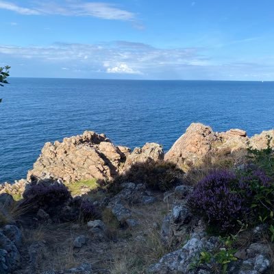 kaviarhattar's profile picture. 