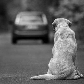 Ophilieblack's profile picture. 110cm || Miondo life 🤧 || God au devant de tout 🙏🏾 Seventh Day Adventist