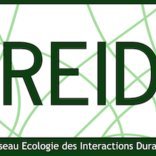 « Des interactions durables pour un monde durable ? »
Prochaine réunion du REID du 10 au 12 Mai 2023