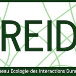 « Des interactions durables pour un monde durable ? »

Prochaine réunion du REID du 10 au 12 Mai 2023