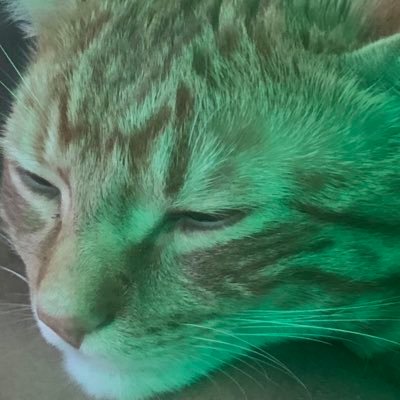 Doozim Profile