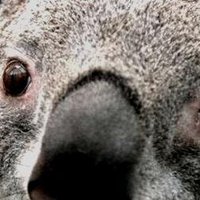 Steven Welch (@stevenw50628953) 's Twitter Profile