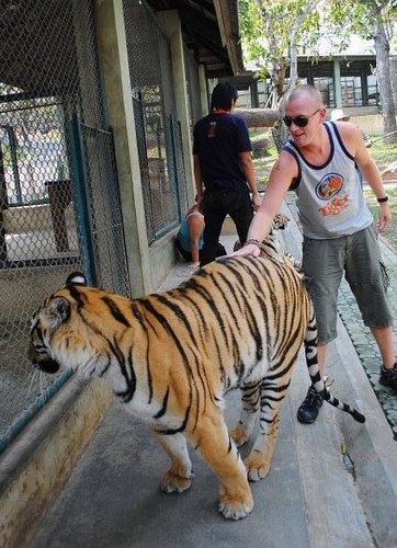 Tomoneilltwit's profile picture. 