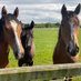 Park Farm (@parkfarm18) Twitter profile photo Park Farm (@parkfarm18) Twitter profile photo