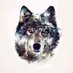 Lone wolf (@lonewolf_x10) Twitter profile photo