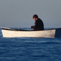 Alex (@alex_lado) 's Twitter Profile Photo