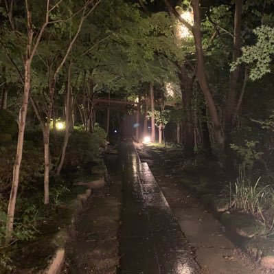 pedbis's profile picture. 