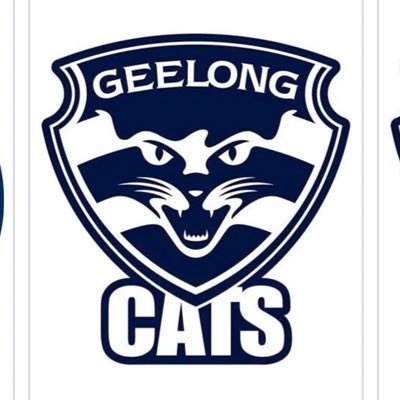 Owner, punter and race lover  barracks for mighty Geelong Cats. V8's, nice cars, most sports, travelling & drinks with mates. Live for today! Making memories!