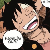 One Piece Paneli (@onepiecepaneli) Twitter profile photo