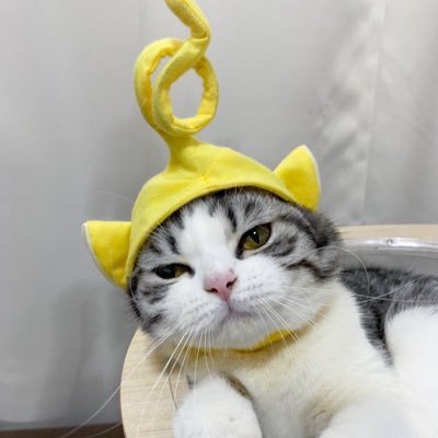 lemaznet's profile picture. tpop bus ༘♡ #HEARTchuthiwat