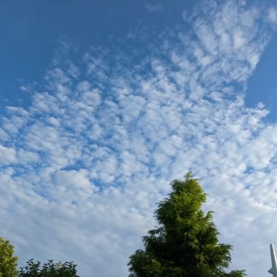 ゲームと歌とアニメが大好き
暇さえあればネットサーフィンしてます。