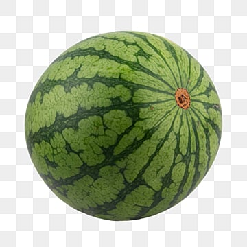 just a watermelon if you get followed just know that I really love your arts and I just want to follow them I'm 19yo
&I love talking about Western animation :3