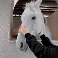 وديـعـة🦋. (@wadeea57) 's Twitter Profile