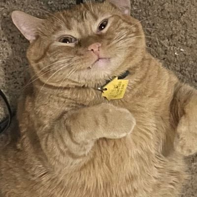 Mellence's profile picture. i will probably like something you disagree with