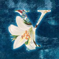 悠 青空にもいる (@you_at_pedal) 's Twitter Profile Photo