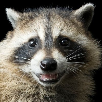 collinsmwadime's profile picture. With you since the early 90s