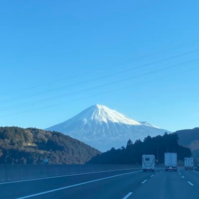 shintarons's profile picture. 喧嘩強いです