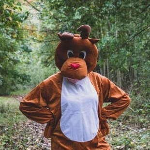 Hi everyone, I’m Rudy from @StBarnabasLinc’s #RudysRun, the festive fundraiser for educational settings to help raise vital funds for the Hospice care 🦌🎄